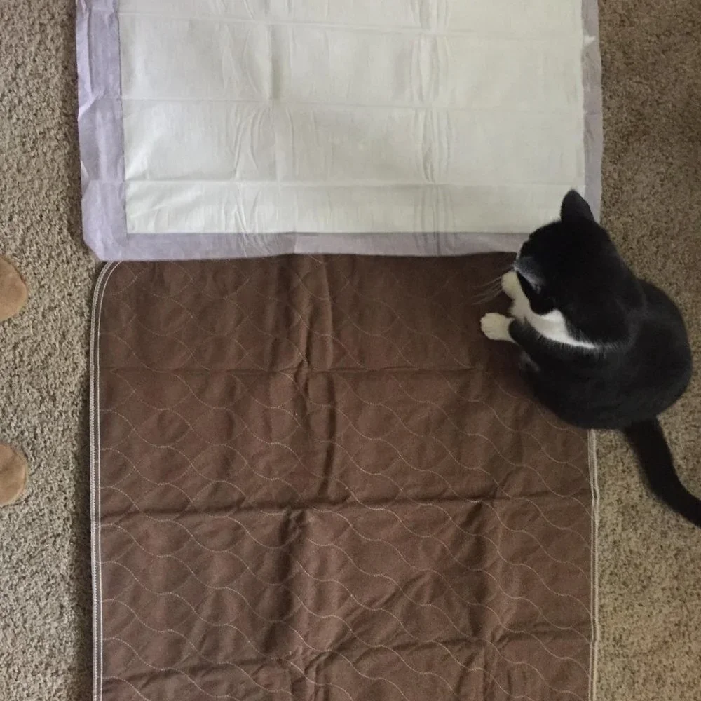Reusable dog potty pads